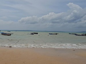 Ratusan Petani Gagal Panen Rumput Laut Imbas Gelombang Tinggi di Kupang
