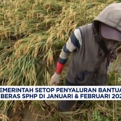 Video: Bansos Beras & Beras Murah SPHP Disetop di Januari-Februari