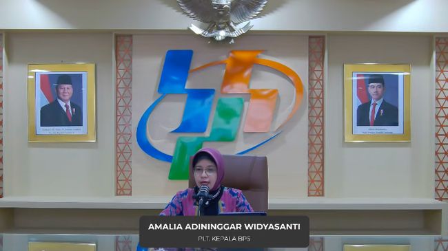 BPS: 5 Sektor Unggulan Pendongkrak Ekonomi RI di Kuartal IV-2024