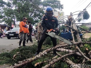 3 Daerah di Jabar Dihantam Bencana: Pohon Tumbang-Angin Kencang