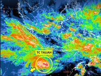 BMKG: Jabodetabek Siaga Hujan-Angin Kencang, RI Waspada Siklon Taliah
