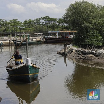 Jadi Lahan Bernilai, Ini Dia Penampakan PSN Tropical Coastland