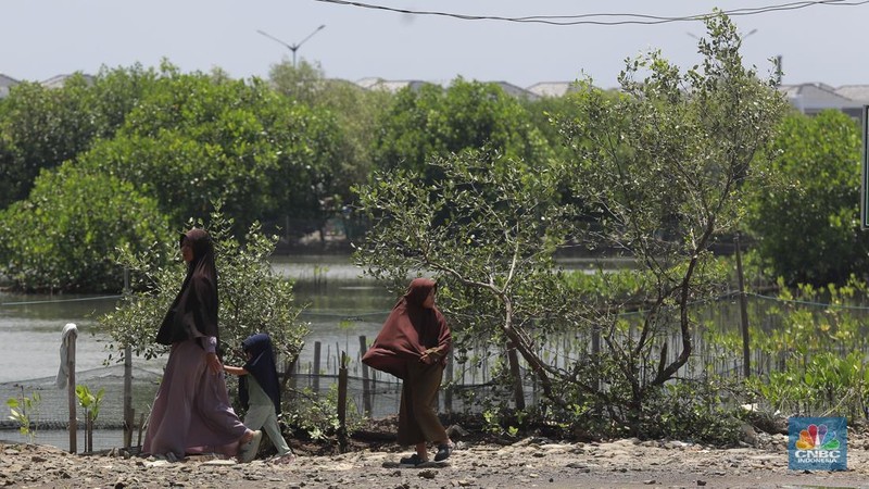 Suasana kawasan pengembangan wilayah berbasis hijau atau yang dinamakan Tropical Coastland di Tangerang, Banten, Rabu (5/2/2025). (CNBC