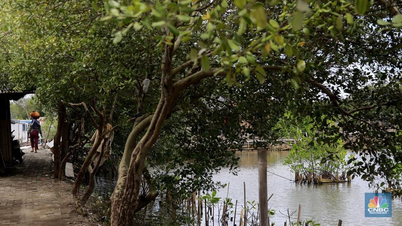 Suasana kawasan pengembangan wilayah berbasis hijau atau yang dinamakan Tropical Coastland di Tangerang, Banten, Rabu (5/2/2025). (CNBC