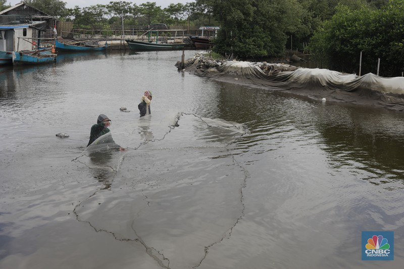 Suasana kawasan pengembangan wilayah berbasis hijau atau yang dinamakan Tropical Coastland di Tangerang, Banten, Rabu (5/2/2025). (CNBC Suasana kawasan pengembangan wilayah berbasis hijau atau yang dinamakan Tropical Coastland di Tangerang, Banten, Rabu (5/2/2025). (CNBC