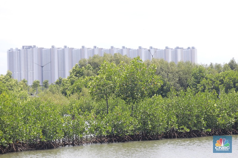 Suasana kawasan pengembangan wilayah berbasis hijau atau yang dinamakan Tropical Coastland di Tangerang, Banten, Rabu (5/2/2025). (CNBC Suasana kawasan pengembangan wilayah berbasis hijau atau yang dinamakan Tropical Coastland di Tangerang, Banten, Rabu (5/2/2025). (CNBC