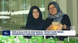 Video: THR & Gaji ke-13 ASN Tetap Cair Hingga Lisensi Starlink Dicabut