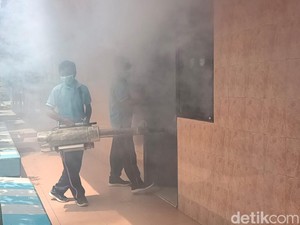 1 Bulan Kasus DBD Capai 178 Orang, Dinkes Gencarkan Fogging