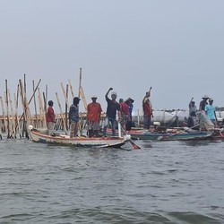 Duh! Puluhan Warga Bekasi Tanahnya Dicatut untuk Pagar Laut, Kok Bisa?
