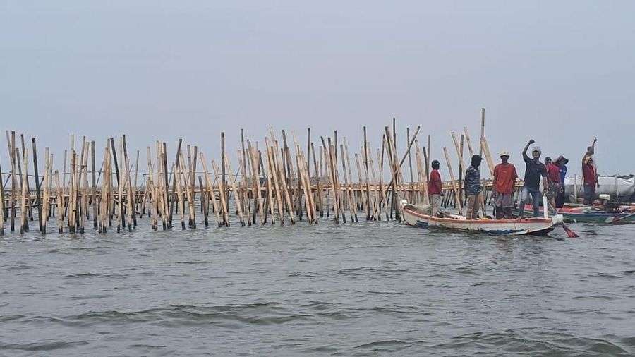 Pagar laut di Bekasi. (Dok. Detikcom/Andi Hidayat)