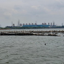 Pagar Laut di Bekasi Akhirnya Dibongkar