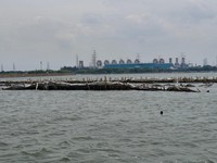 Pagar Laut di Bekasi Akhirnya Dibongkar