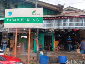 Menengok Pusat Penjualan Burung di Jaktim, Masih Berkicau Seperti Dulu?