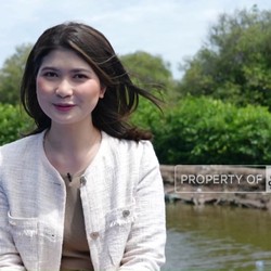 Video: PIK2 dan Penghijauan Pesisir, Mangrove Untuk Masa Depan