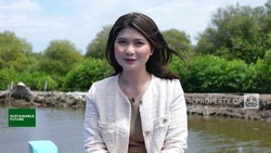 Video: PIK2 dan Penghijauan Pesisir, Mangrove Untuk Masa Depan