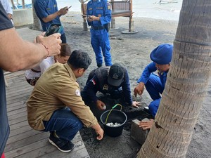 106 Telur Penyu Lekang Dievakuasi Polisi dari Pantai di Buleleng