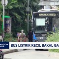 Video: Transjakarta Bakal Tambah 533 Armada Bus Listrik