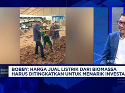 Video: Ini Nih "Kunci" RI Agar Suskes Tarik Investasi Listrik Hijau