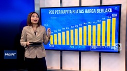 Video: 2025 Pendapatan Warga RI Kalah Jauh Dari Tetangga