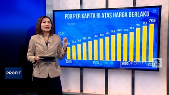 Video: 2025 Pendapatan Warga RI Kalah Jauh Dari Tetangga