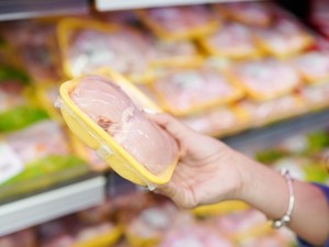 Ayam Broiler Dijual Mulai Rp 30 Ribuan Per Ekor di Transmart Full Day Sale
