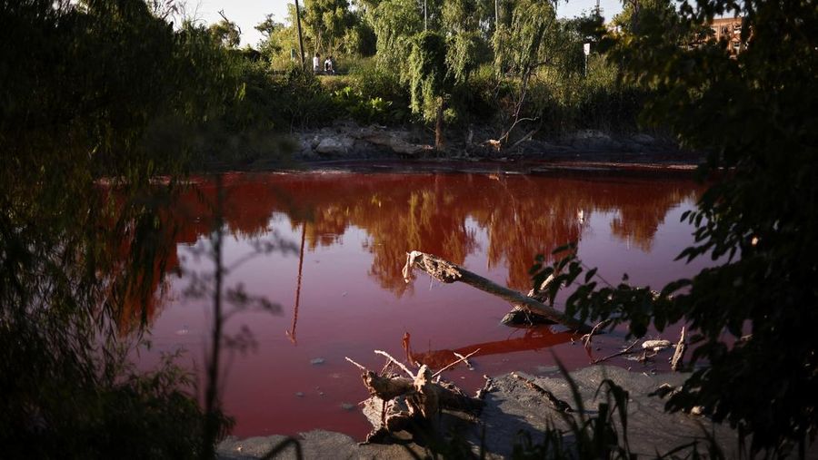 Kondisi air yang berwarna merah pada aliran sungai di kawasan metropolitan Buenos Aires, Argentina, Kamis (6/2/2025). (REUTERS/Agustin Marcarian)