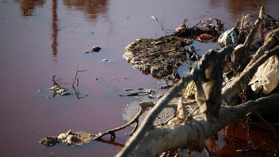 Kondisi air yang berwarna merah pada aliran sungai di kawasan metropolitan Buenos Aires, Argentina, Kamis (6/2/2025). (REUTERS/Agustin Marcarian)