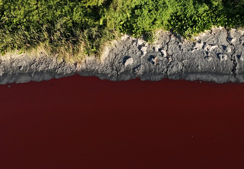 Kondisi air yang berwarna merah pada aliran sungai di kawasan metropolitan Buenos Aires, Argentina, Kamis (6/2/2025). (REUTERS/Agustin Marcarian) Kondisi air yang berwarna merah pada aliran sungai di kawasan metropolitan Buenos Aires, Argentina, Kamis (6/2/2025). (REUTERS/Agustin Marcarian)