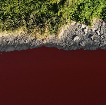 Penampakan Sungai Berubah Jadi 'Darah' di Kota Metropolitan Argentina