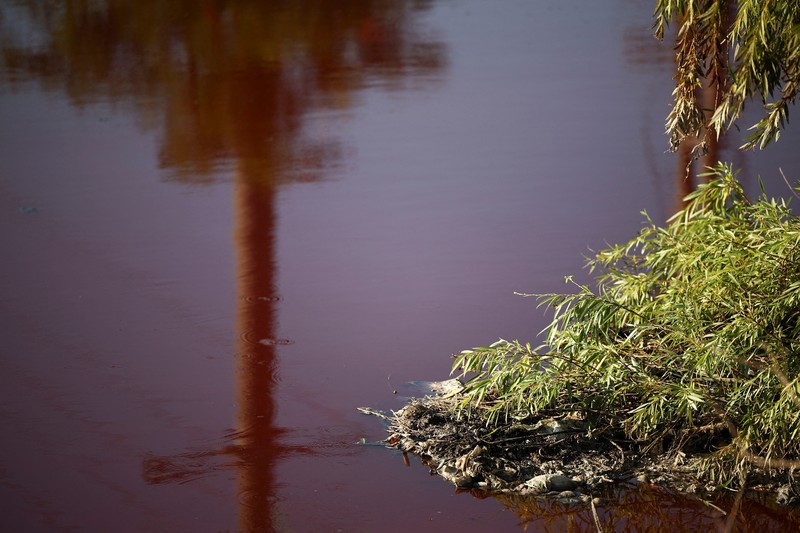 Kondisi air yang berwarna merah pada aliran sungai di kawasan metropolitan Buenos Aires, Argentina, Kamis (6/2/2025). (REUTERS/Agustin Marcarian) Kondisi air yang berwarna merah pada aliran sungai di kawasan metropolitan Buenos Aires, Argentina, Kamis (6/2/2025). (REUTERS/Agustin Marcarian)