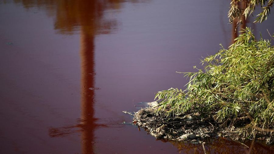 Kondisi air yang berwarna merah pada aliran sungai di kawasan metropolitan Buenos Aires, Argentina, Kamis (6/2/2025). (REUTERS/Agustin Marcarian)
