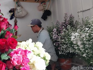 Panen Bunga Potong di Kota Batu Susut Imbas Cuaca Ekstrem