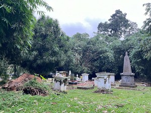 6 Makam Belanda Rusak Tertimpa Pohon Tumbang di Kebun Raya Bogor