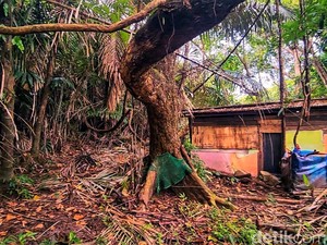Kisah Batu Kenit di Cagar Alam Sukawayana yang Tak Lagi Angker