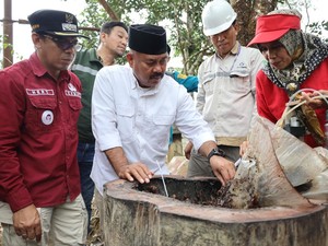 Bupati Kukar Edi Damansyah Panen Jagung Hibrida-Madu Kelulut di Tani Harapan