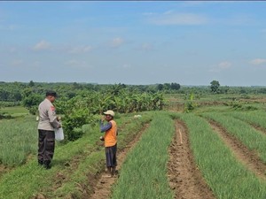 Petani di Bojonegoro Diajak Galakkan Ketahanan Pangan