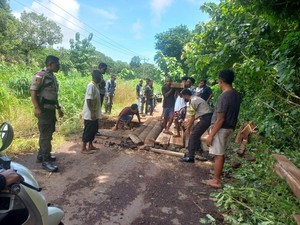 2 Ruas Jalan di Flores Timur Putus Akibat Hujan, Warga Buat Jembatan Darurat