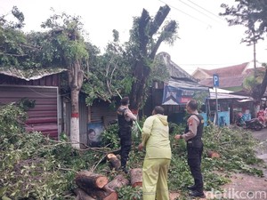 Polisi Gercep Evakuasi Pohon Tumbang Tutup 3 Jalan di Kota Mojokerto