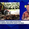 Video: Bos Sawit & Tantangan Genjot Produksi CPO Demi B40 Era Prabowo