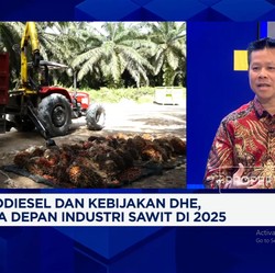 Video: Bos Sawit & Tantangan Genjot Produksi CPO Demi B40 Era Prabowo