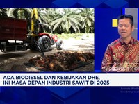 Video: Bos Sawit & Tantangan Genjot Produksi CPO Demi B40 Era Prabowo