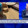 Video: Bansos Beras Disetop Demi Bulog Serap 3 Juta Ton Beras, Tepat?