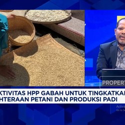 Video:DPR Dukung HPP Gabah Jadi Rp6.500, Yakin Bikin Petani Sejahtera?