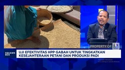 Video:DPR Dukung HPP Gabah Jadi Rp6.500, Yakin Bikin Petani Sejahtera?