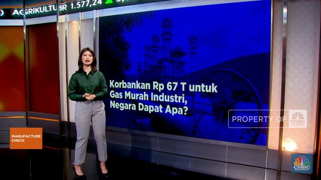 Rp 67 Triliun Buat Gas Murah Industri, Negara Dapat Apa?