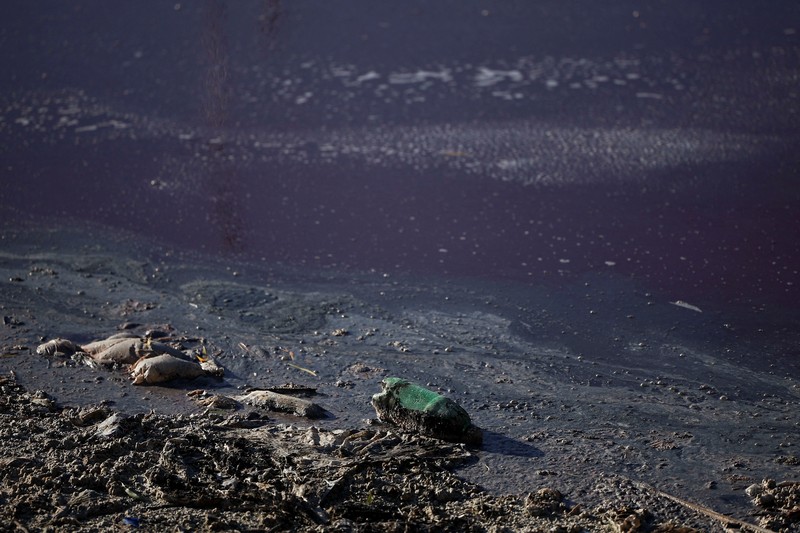 Warga Kota Avellaneda, pinggiran Buenos Aires, Argentina, dikejutkan oleh perubahan drastis Sungai Sarandi yang tiba-tiba berwarna merah darah dan mengeluarkan bau menyengat pada Kamis (6/2/2025). (REUTERS/Agustin Marcarian) Warga Kota Avellaneda, pinggiran Buenos Aires, Argentina, dikejutkan oleh perubahan drastis Sungai Sarandi yang tiba-tiba berwarna merah darah dan mengeluarkan bau menyengat pada Kamis (6/2/2025). (REUTERS/Agustin Marcarian)