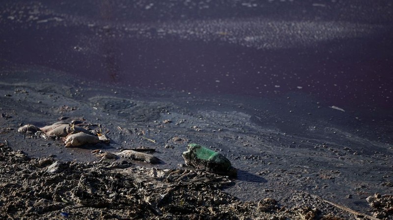 Warga Kota Avellaneda, pinggiran Buenos Aires, Argentina, dikejutkan oleh perubahan drastis Sungai Sarandi yang tiba-tiba berwarna merah darah dan mengeluarkan bau menyengat pada Kamis (6/2/2025). (REUTERS/Agustin Marcarian)
