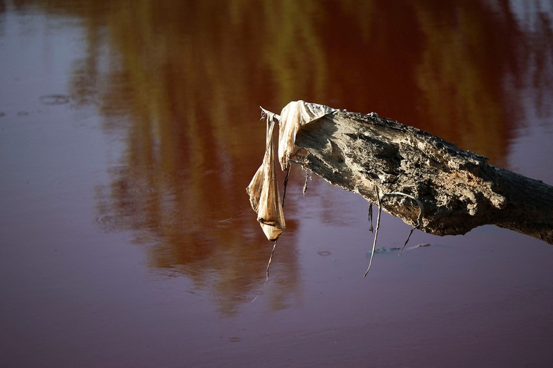 Warga Kota Avellaneda, pinggiran Buenos Aires, Argentina, dikejutkan oleh perubahan drastis Sungai Sarandi yang tiba-tiba berwarna merah darah dan mengeluarkan bau menyengat pada Kamis (6/2/2025). (REUTERS/Agustin Marcarian) Warga Kota Avellaneda, pinggiran Buenos Aires, Argentina, dikejutkan oleh perubahan drastis Sungai Sarandi yang tiba-tiba berwarna merah darah dan mengeluarkan bau menyengat pada Kamis (6/2/2025). (REUTERS/Agustin Marcarian)