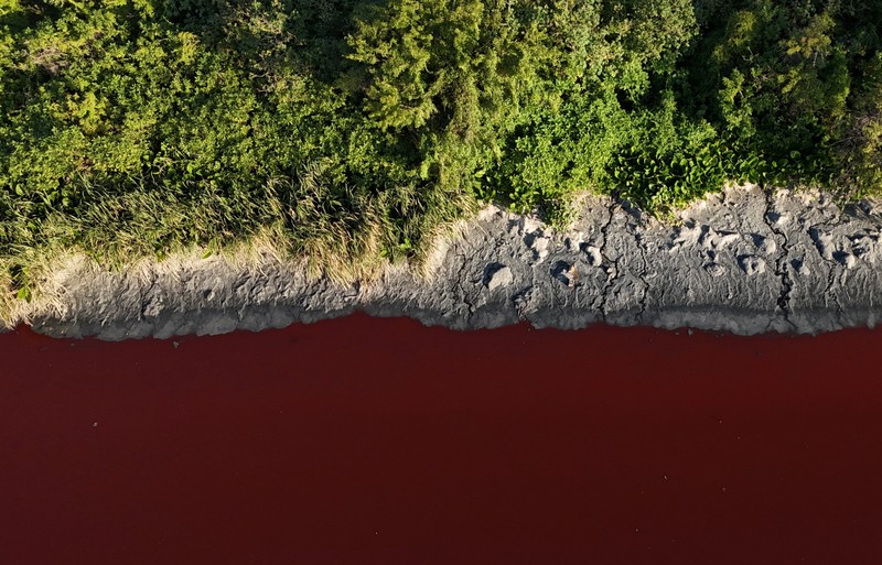 Warga Kota Avellaneda, pinggiran Buenos Aires, Argentina, dikejutkan oleh perubahan drastis Sungai Sarandi yang tiba-tiba berwarna merah darah dan mengeluarkan bau menyengat pada Kamis (6/2/2025). (REUTERS/Agustin Marcarian) Warga Kota Avellaneda, pinggiran Buenos Aires, Argentina, dikejutkan oleh perubahan drastis Sungai Sarandi yang tiba-tiba berwarna merah darah dan mengeluarkan bau menyengat pada Kamis (6/2/2025). (REUTERS/Agustin Marcarian)