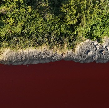 Potret Sungai Argentina Berbau Busuk & Berwarna Merah Darah, Ada Apa?